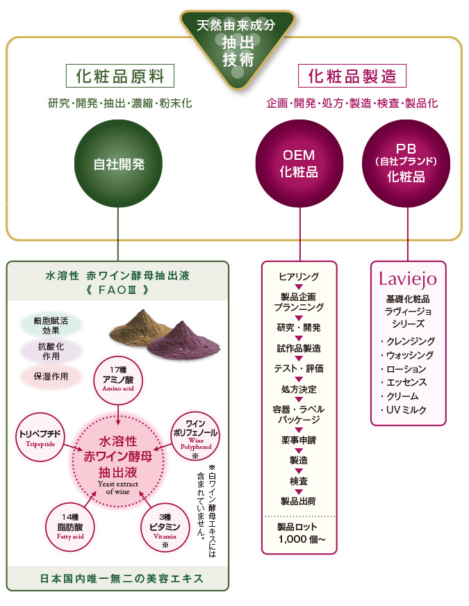 事業領域の紹介